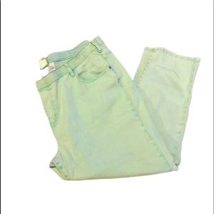 Sea foam Green Jeggings 2X